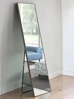 Full Body Mirror, Solid Wood Frame Floor and Wall Mirror, 65 x 23 Inch, Gray